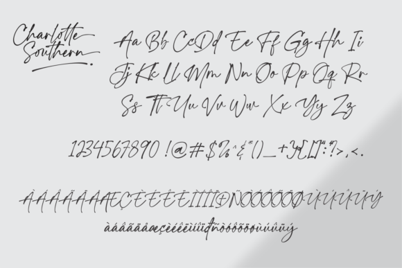 Charlotte Southern Font - Preview 6