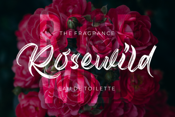 Biograph Font - Preview 6