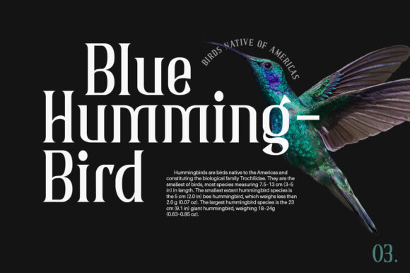 Briston Font - Preview 5