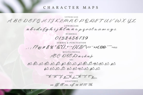 Candelya Font - Preview 4