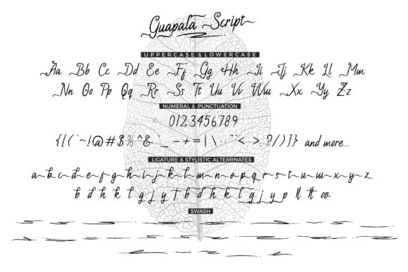 Gualapa Font - Preview 1