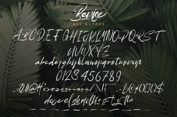 Bewise Font - Preview 4