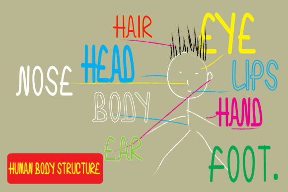 Bo Loho Font - Preview 2