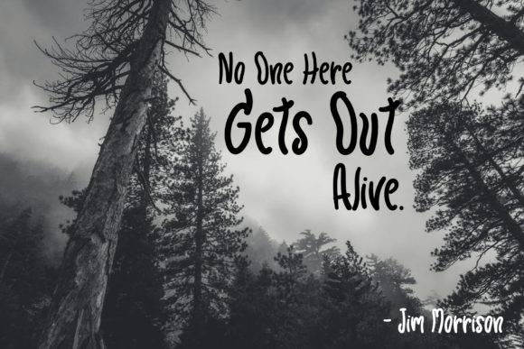 Scary Beauty Font PNG with transparent background - Preview 1