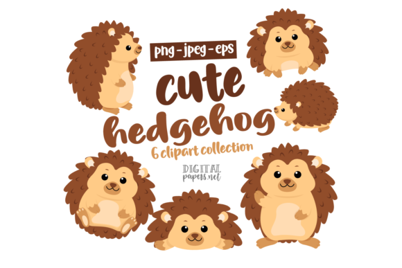 Cute Hedgehog Clipart Set Graphic Illustrations By DIPA Graphics