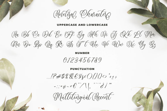 Anelisa Font - Preview 5
