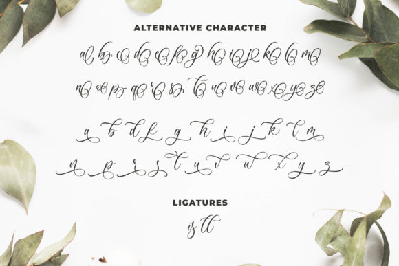 Anelisa Font - Preview 6