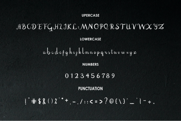 Eltton Font - Preview 3