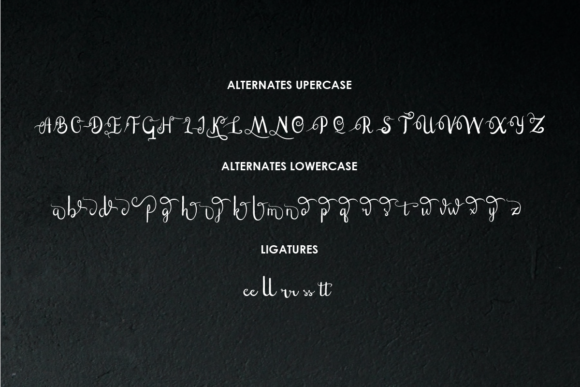 Eltton Font - Preview 4