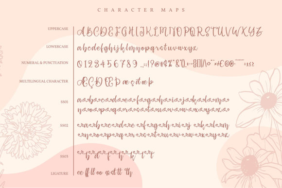 Precilya Font PNG with transparent background - Preview 4