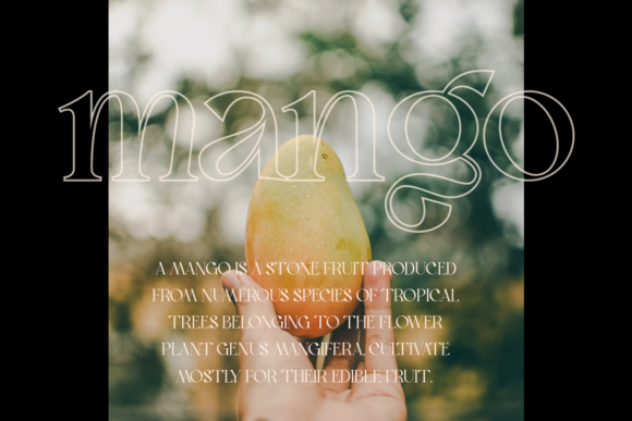 Bon Foyage Font - Preview 6