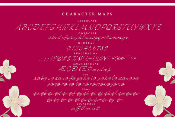 Dayssies Font - Preview 4