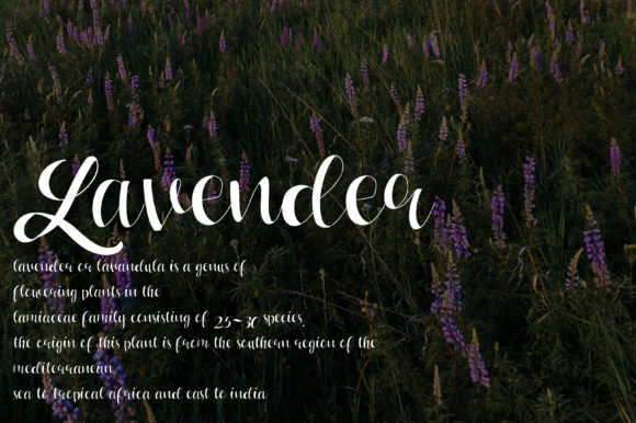 Lasmini Yahut Font PNG with transparent background - Preview 1