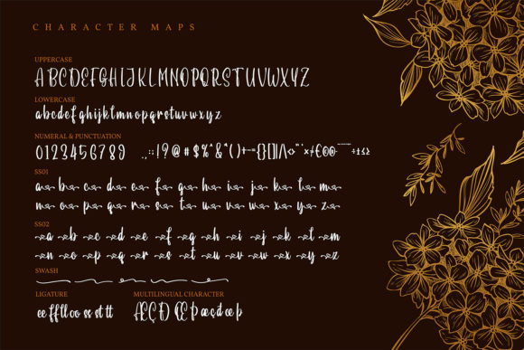 Maldivera Font PNG with transparent background - Preview 4