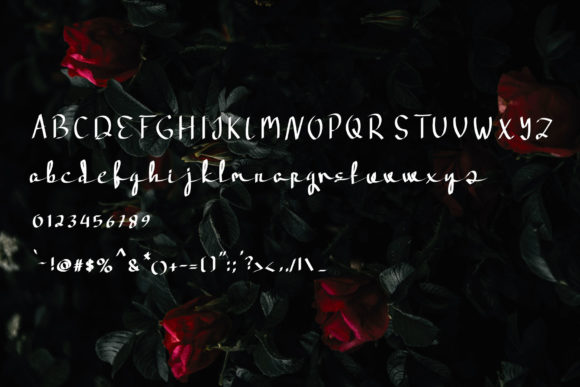 Onfire Font PNG with transparent background - Preview 3