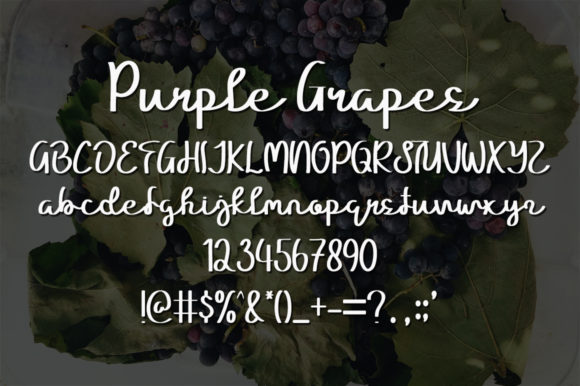 Purple Grapes Font PNG with transparent background - Preview 4