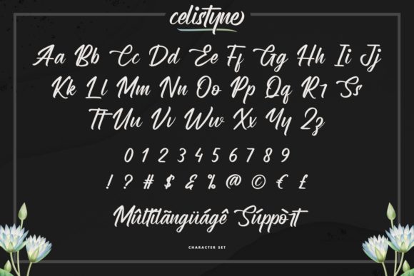 Celistyne Font - Preview 4