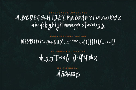 Graybet Font - Preview 5