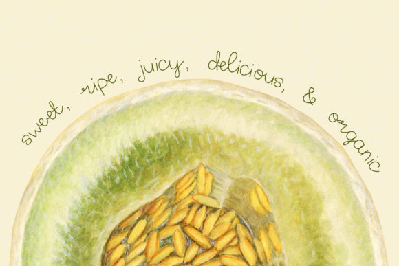 Melon Font PNG with transparent background - Preview 1