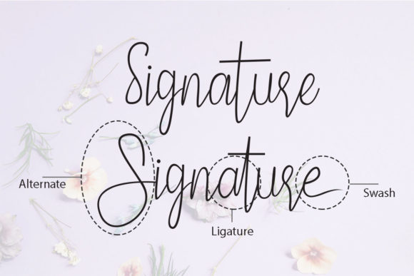 Pamella Font PNG with transparent background - Preview 1