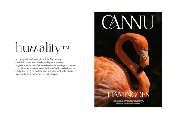 Cannu Font - Preview 4