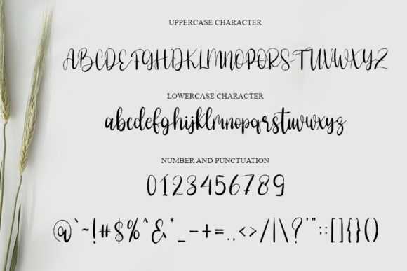 Eassy Vigossa Font - Preview 4