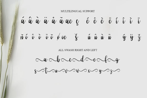 Eassy Vigossa Font - Preview 5