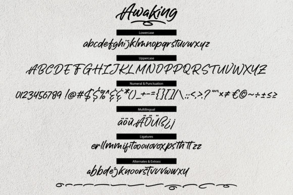 Awaking Font - Preview 5