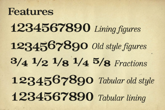 Bookseller Bk Ample Font - Preview 5