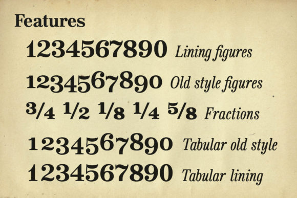 Bookseller Bk Reduced Font - Preview 5
