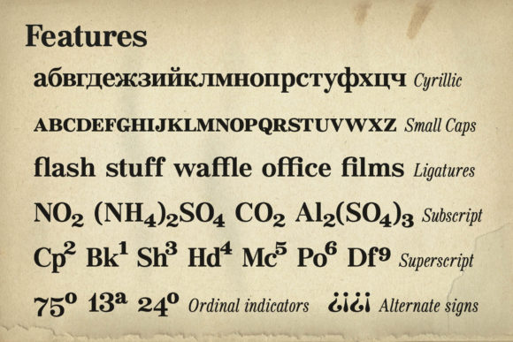 Bookseller Bk Reduced Font - Preview 6