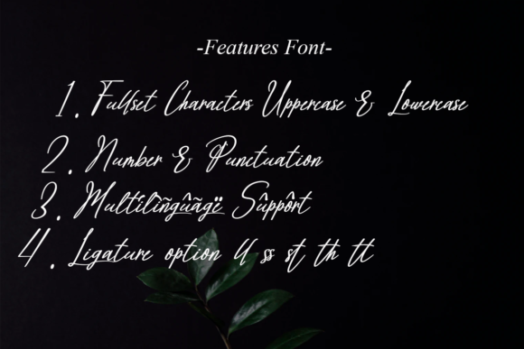 Brilliant Signature Font - Preview 6