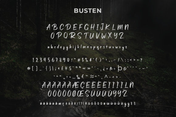 Busten Font - Preview 4