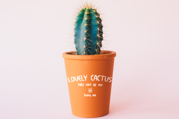 Calm Avocado Font - Preview 4