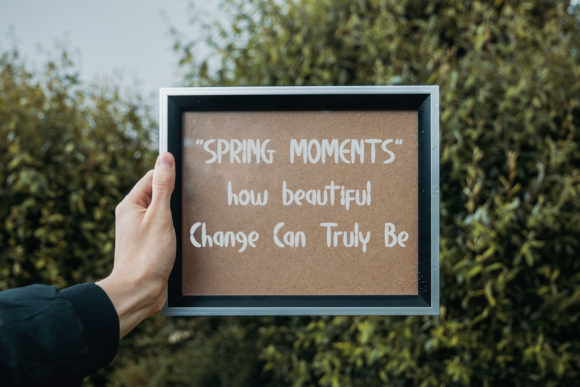 Calm Avocado Font - Preview 5