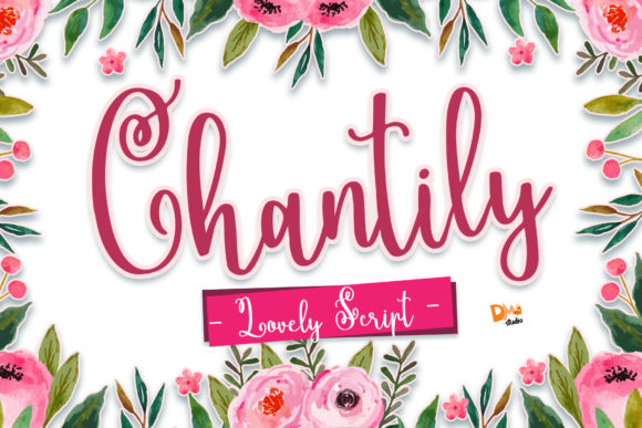 Chantily Script & Handwritten Font By dmletter31