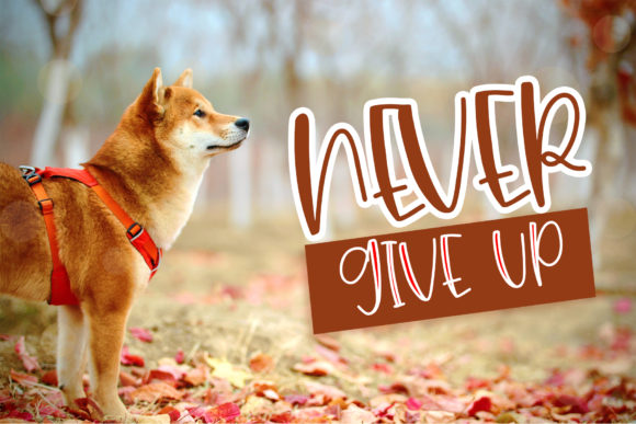 Cutie Brown Font PNG with transparent background - Preview 1