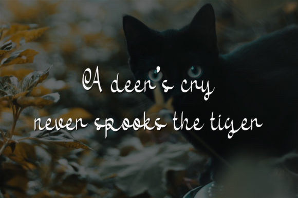 Jungle Cat Font PNG with transparent background - Preview 2