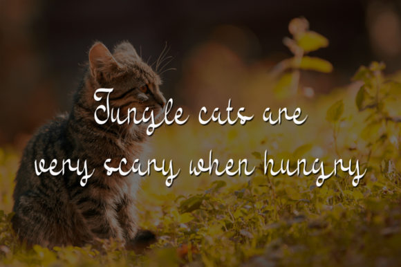 Jungle Cat Font PNG with transparent background - Preview 3