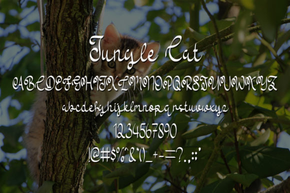 Jungle Cat Font PNG with transparent background - Preview 4