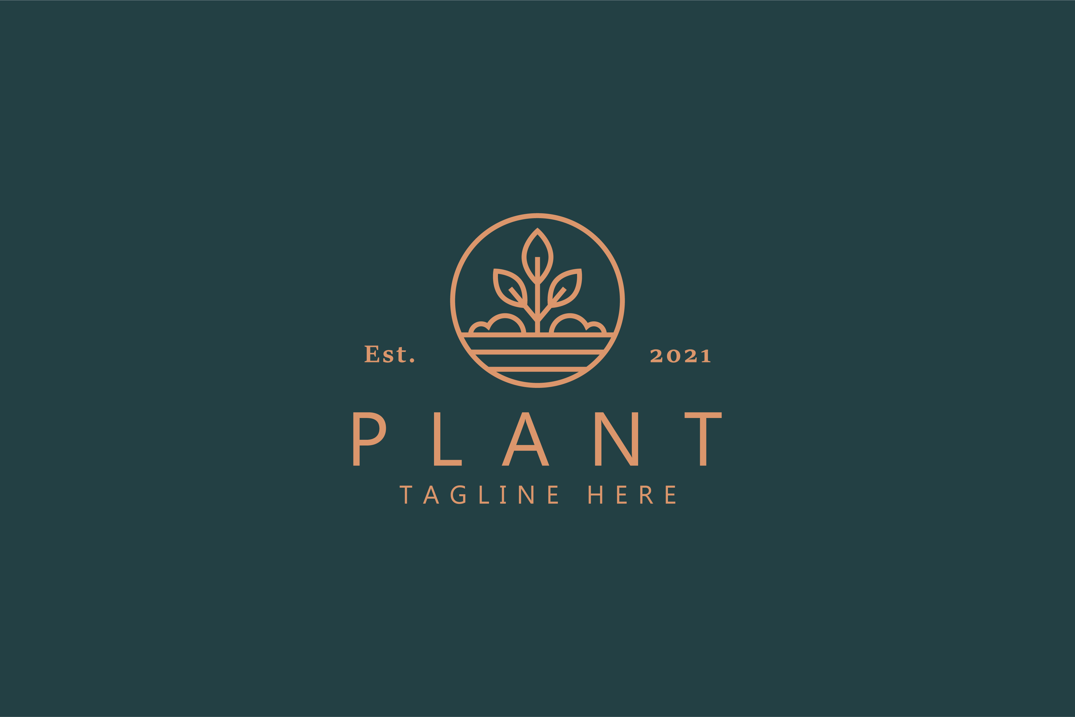 rubber ficus plant Ficus Burgundy Tree Form Single Stem, Rubber Tree main image 1
