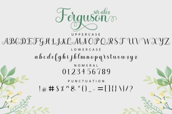 Sir Alex Ferguson Font PNG with transparent background - Preview 6