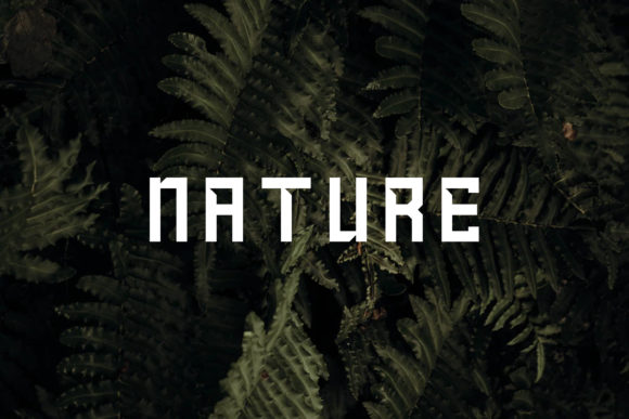 Baol Font - Preview 1