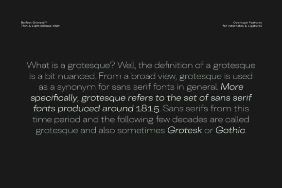 Belfast Grotesk Font - Preview 1
