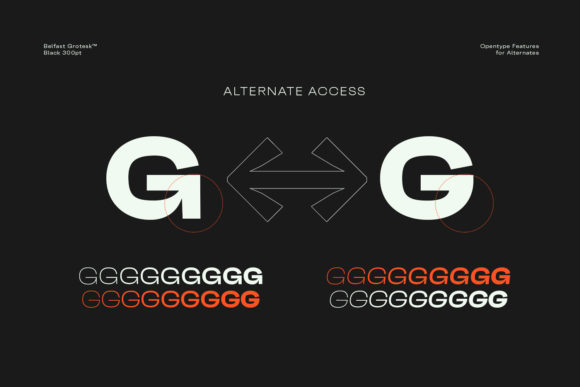Belfast Grotesk Font - Preview 4