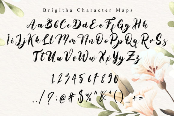 Brigitha Font - Preview 6