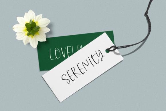 Countless Blessings Font - Preview 3