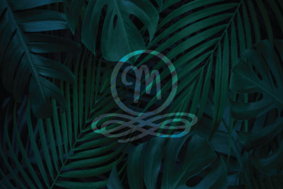 Elegant Monogram Font - Preview 3