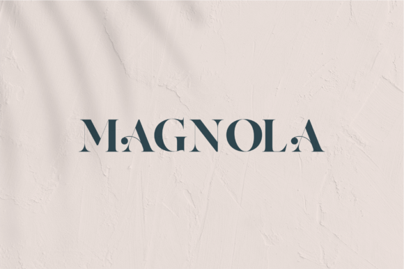 Aqila Font - Preview 1