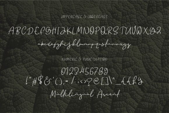 Fatkarafa Font - Preview 4